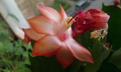 IMAG3759.jpg