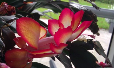 IMAG3716 - Kopie.jpg