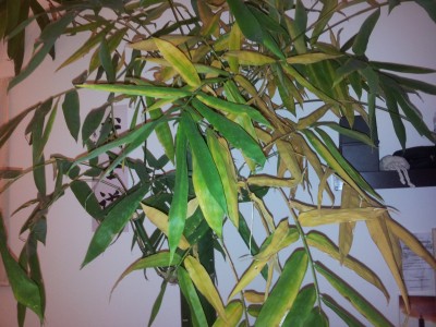 2014-12-10 10.57.13.jpg