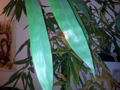 2014-12-10 10.57.18.jpg