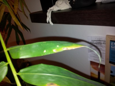 2014-12-10 10.57.30.jpg