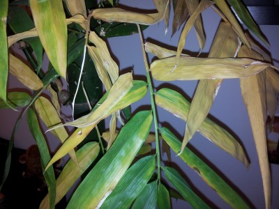 2014-12-10 10.57.38.jpg