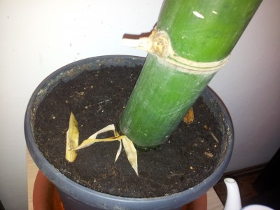 2014-12-10 10.57.55.jpg