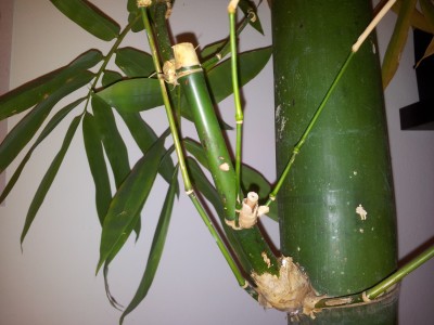 2014-12-10 10.58.02.jpg