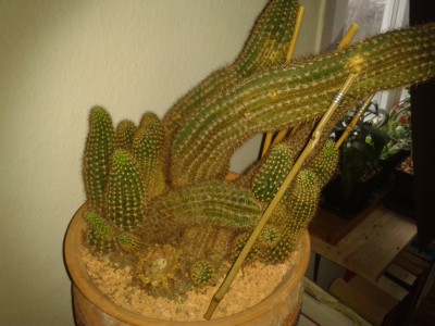 2014-12-10 13.59.40.jpg