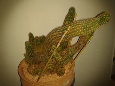 2014-12-10 13.59.50.jpg