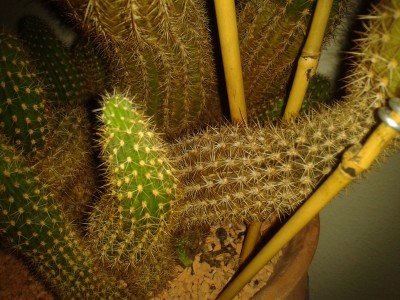 2014-12-10 14.00.04.jpg