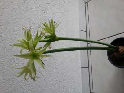 20141213_124302.jpg