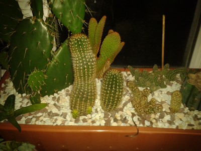 2014-12-13 21.57.25.jpg