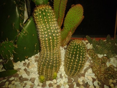 2014-12-13 21.57.27.jpg