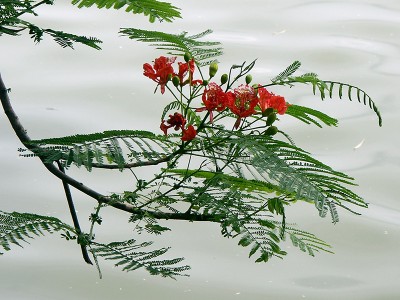 Asien2004_1117.jpg