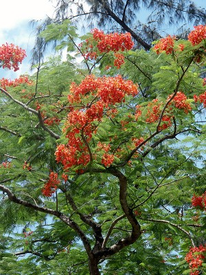 Asien2004_1197.jpg