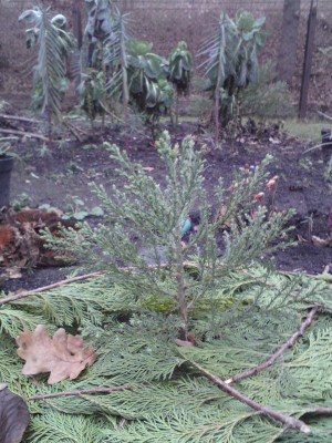 DSC03030.JPG