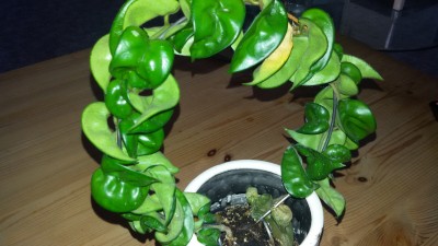 20141227_152058 (1).jpg