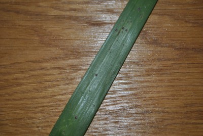 DSC_0360.JPG