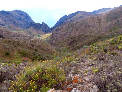 Tabaibapass-Teno-Tenerife-01.JPG