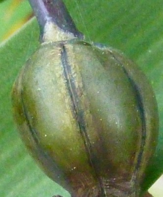raetsel15001.jpg