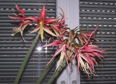 2015-01-13 005.jpg