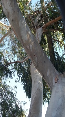20141230_140109_kl.jpg