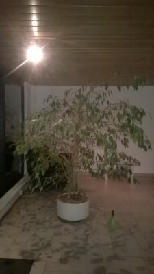 Nach 13 Monaten.jpg