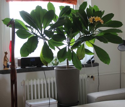 Bild1.jpg