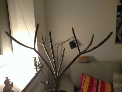 Bild3.jpg