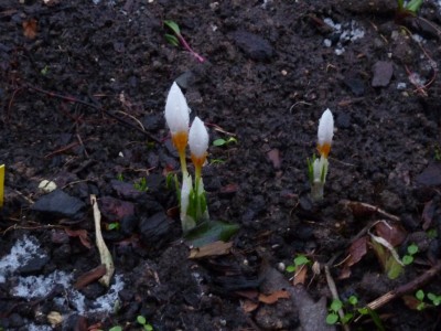 20150125 035 - Kopie.JPG