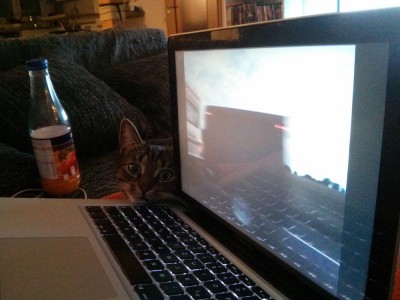 Reggie guckt eine Doku.jpg