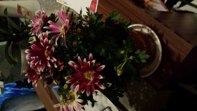 20150203_181951.jpg