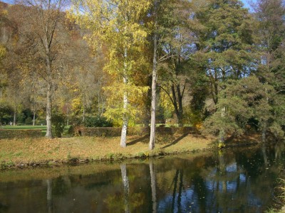 CIMG1716 - Kopie.JPG