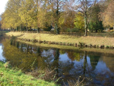 CIMG1715 - Kopie.JPG
