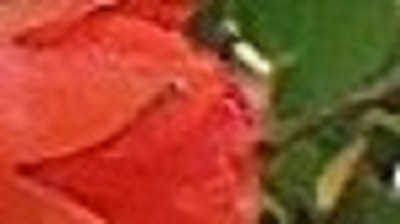 DSCF8356 Bild 2 vergrössert.jpg