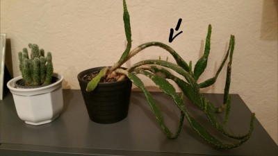 2015-02-14 23.35.54.jpg