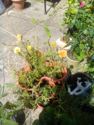 2014-08-02 13.38.55.jpg