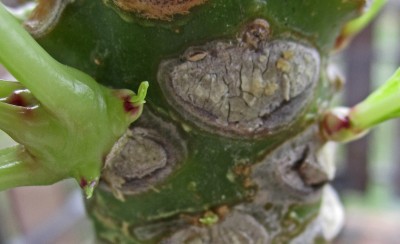 2015-02-18 10.54.27.jpg