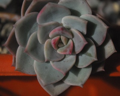 0215 013pp.jpg