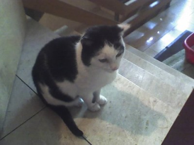 28-10-07_Frieda wartet.jpg