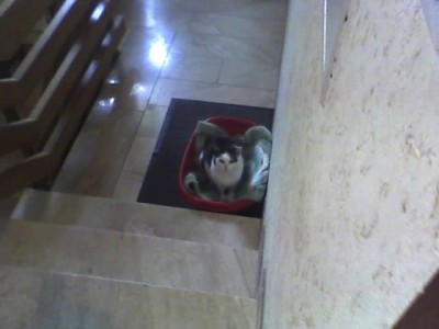 28-10-07_Frieda im TTH.jpg