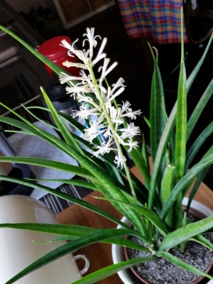 2015-02-15 09.41.45.jpg