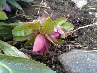20150227_115338.jpg