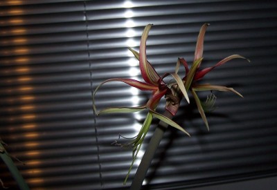 2015-03-03 008.jpg