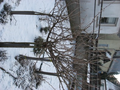 IMG_7780.JPG