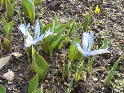 20150304_122353.jpg