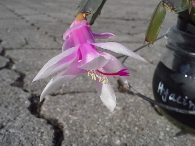 20150306_143528.jpg