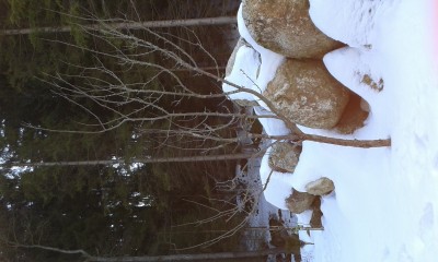 20150217_101530.jpg