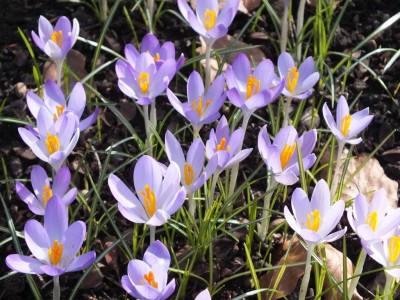 20150307_10.JPG