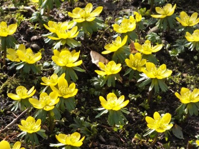 20150307_13.JPG
