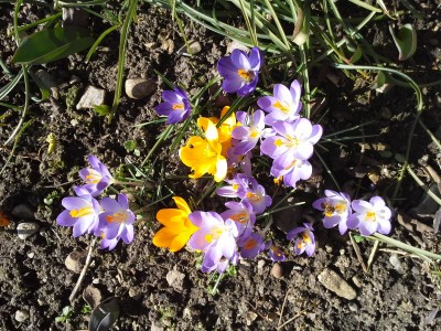 20150308_115641.jpg