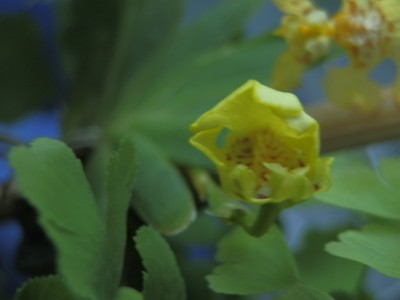 P9150186.JPG