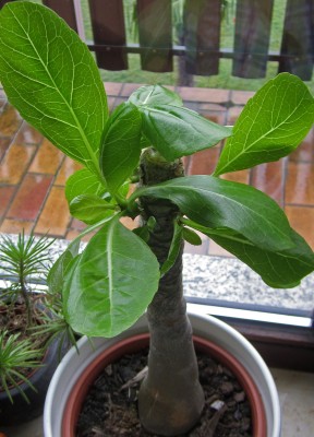 2015-03-10 10.29.52.jpg